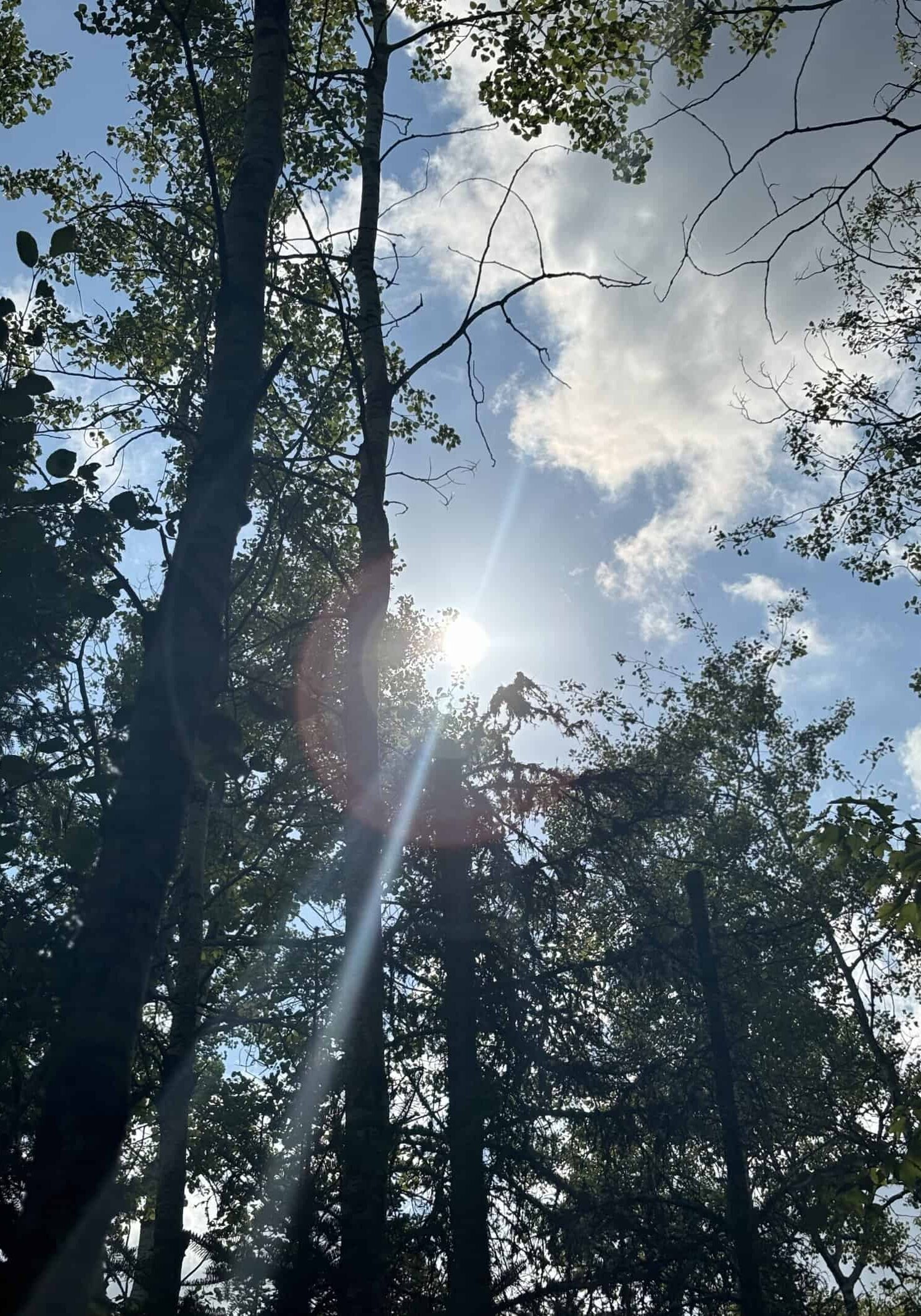 Took a hike to O Kun-de-kun Falls near Bruce Crossing, MI last weekend. It was a gorgeous day. peace - cb